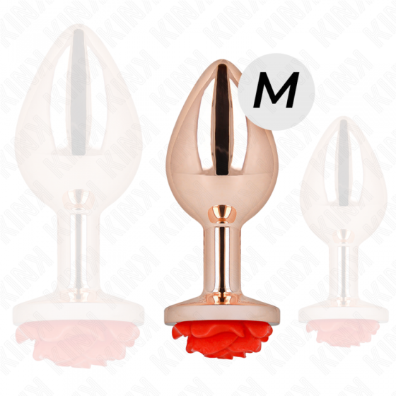 PLUG ANAL KINK  ROSA OURO...
